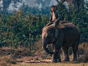 奇旺國家公園(Chitwan National Park)